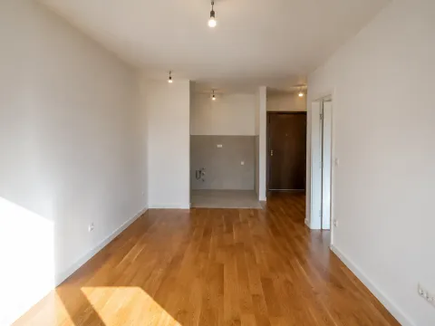 Prodaja, jednosoban stan, 40m², Central Point, Podgorica - image 4