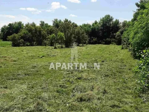 Sale, land lot, 1939m², Baranda, Opovo - image 2