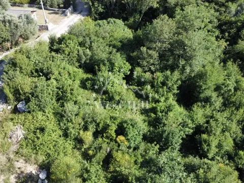 Prodaja, plac, 405m², Sutomore, Bar - image 5