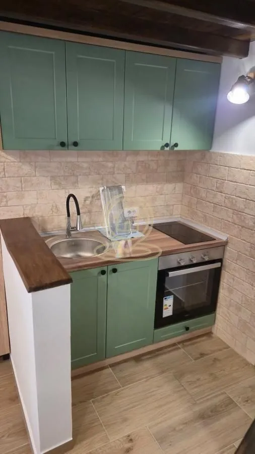 Rent, studio apartment, 20m², Centar, Novi Sad