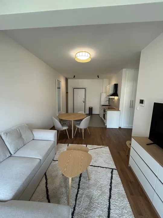 Rent, one bedroom apartment, 47m², Dobrota, Kotor