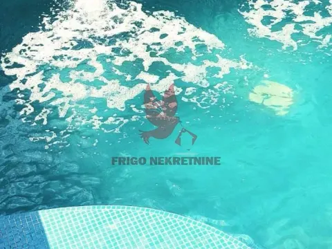 Prodaja, kuća, 1000m², Selters Banja, Mladenovac - image 2