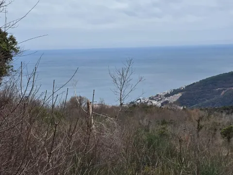 Sale, land lot, 5135m², Markovići, Budva - image 3