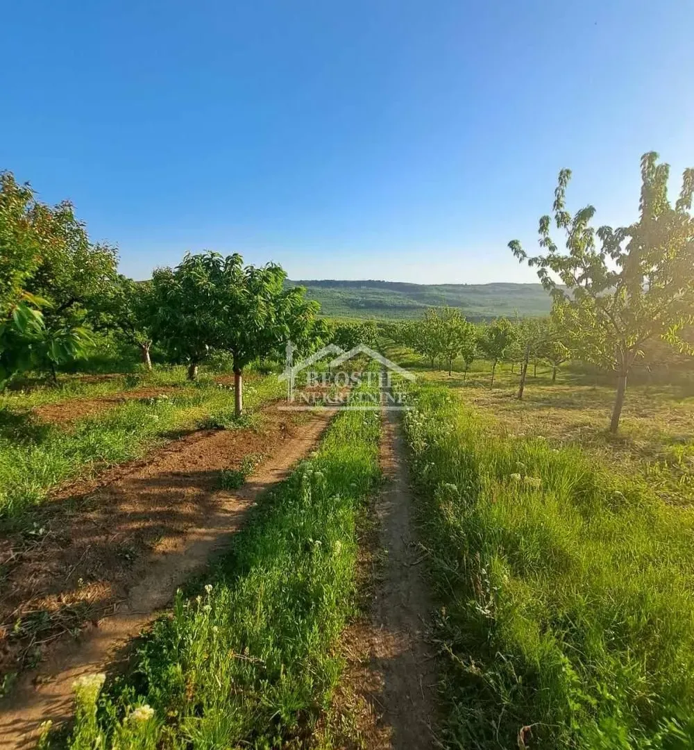 Prodaja, plac, 10000m², Ritopek, Grocka