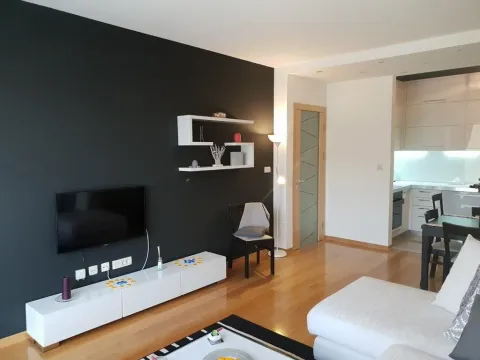 Rent, one bedroom apartment, 55m², Preko Morače, Podgorica - image 4