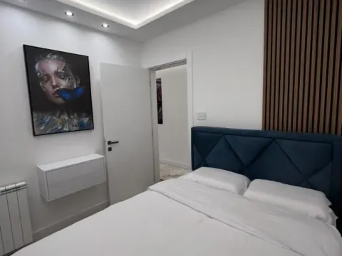 Izdavanje, jednosoban stan, 40m², Centar, Novi Sad - image 9