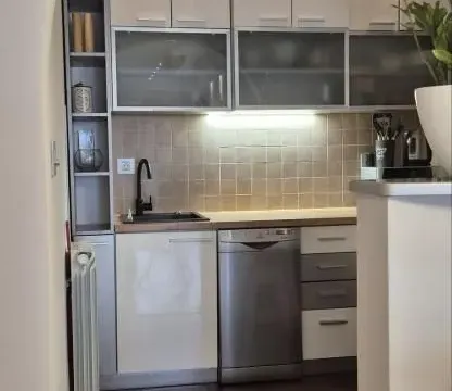 Izdavanje, dvosoban stan, 55m², Vračar Sve Podlokacije, Beograd - image 5