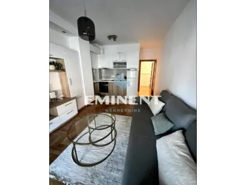 Izdavanje, dvosoban stan, 43m², Vračar Sve Podlokacije, Beograd - image 2