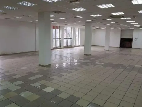 Izdavanje, poslovni prostor, 500m², Zemun Centar, Zemun Sve Podlokacije - image 3