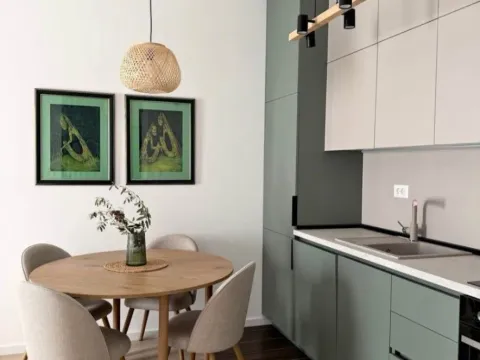 Izdavanje, jednosoban stan, 45m², Tološi, Podgorica - image 4