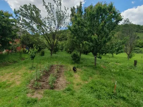 Sale, house, 180m², Banja Vrdnik, Irig - image 2