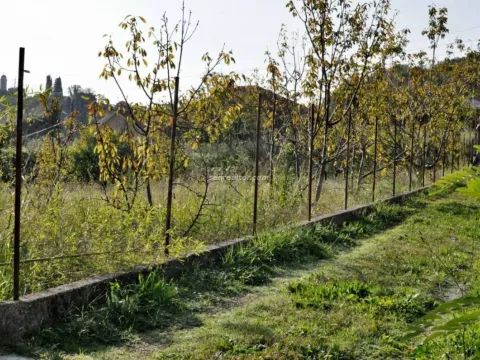 Sale, land lot, 1350m², Kamenari, Herceg Novi - image 8