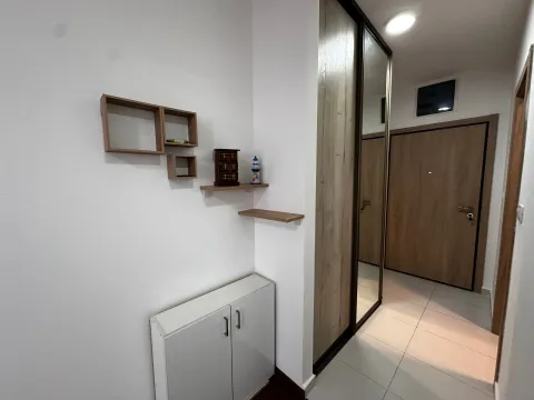 Izdavanje, garsonjera, 25m², Master Kvart, Podgorica - image 4