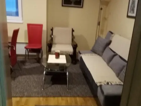 Izdavanje, dvosoban stan, 45m², Krnjaca, Palilula Sve Podlokacije - image 6