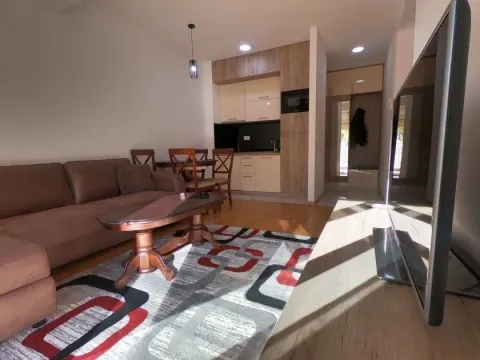 Izdavanje, dvosoban stan, 52m², Budva, Crna Gora - image 2