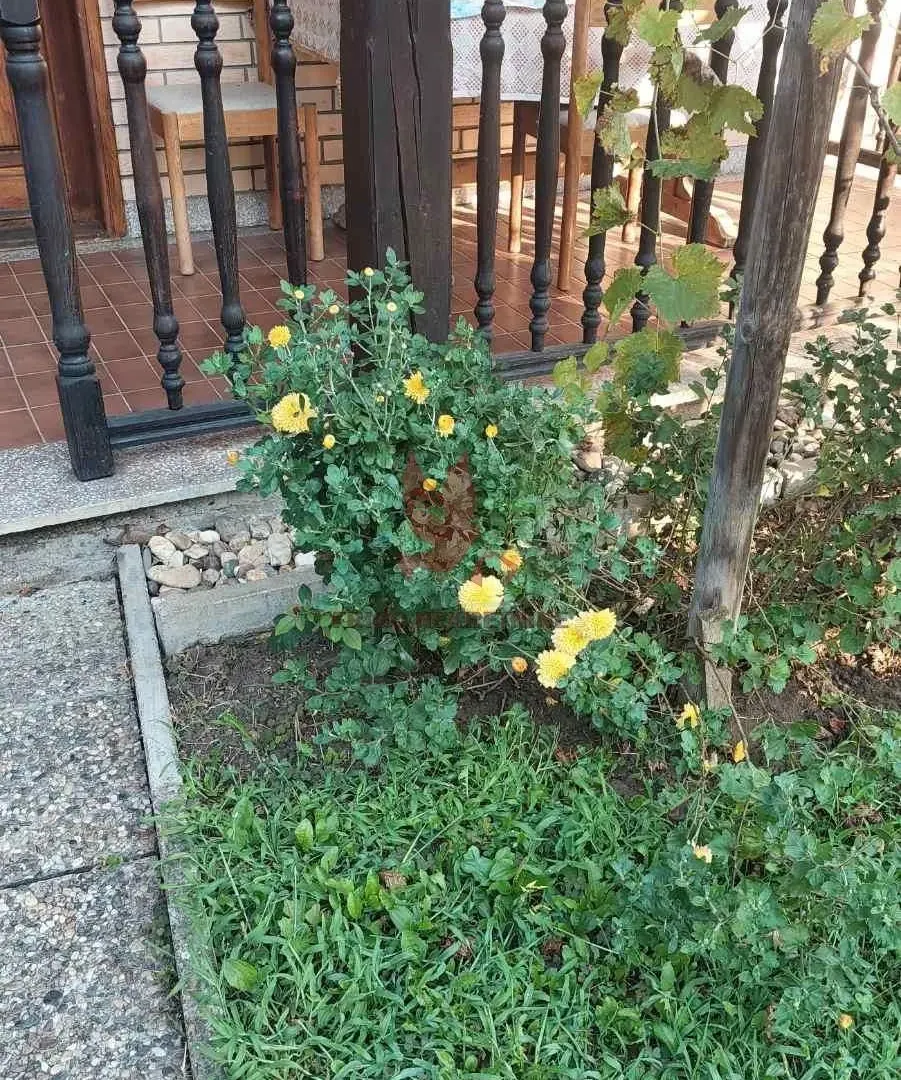 Sale, house, 1000m², Selters Banja, Mladenovac