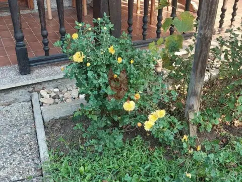 Prodaja, kuća, 1000m², Selters Banja, Mladenovac - image 20