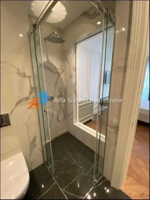 Izdavanje, četvorosoban stan, 170m², Vračar Sve Podlokacije, Beograd