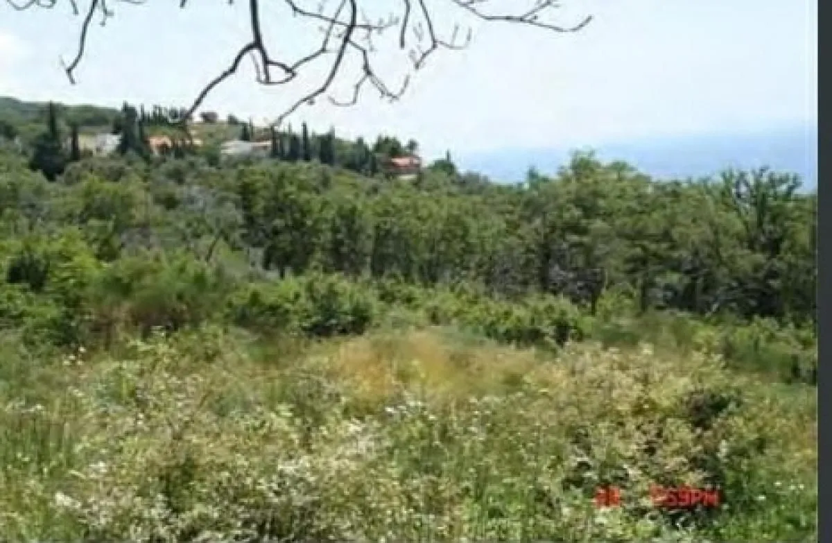 Pogled na zeleno okruženje i prirodu oko nekretnine.