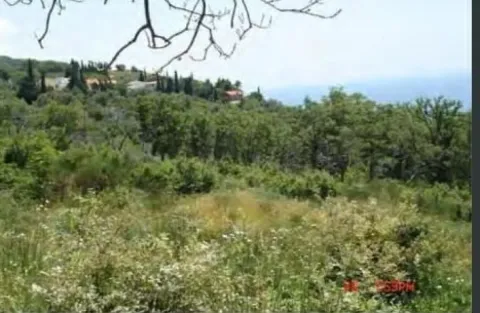 Pogled na zeleno okruženje i prirodu oko nekretnine. - image 2