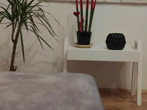 Prodaja, dvosoban stan, 60m², Seljanovo, Tivat - image 15