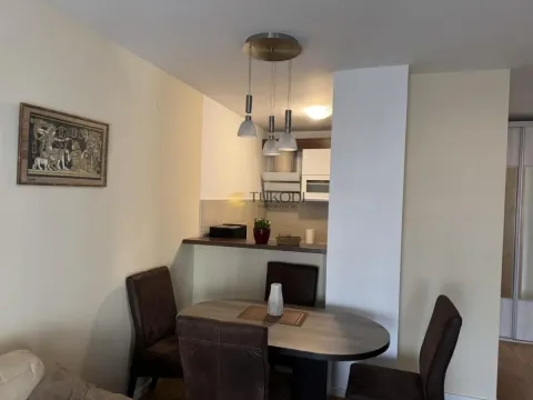 Izdavanje, dvosoban stan, 47m², Zemun Sve Podlokacije, Beograd - image 2