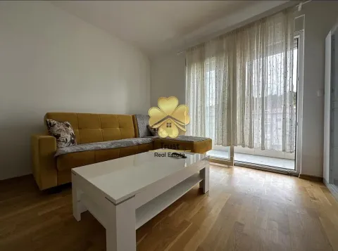 Izdavanje, garsonjera, 30m², Ljubović, Podgorica - image 1