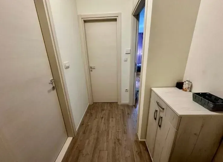 Rent, one bedroom apartment, 43m², Zagorič, Podgorica