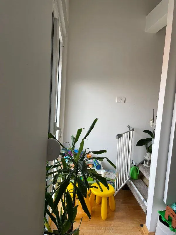 Rent, three bedroom apartment, 60m², Zemun Cara Dušana, Zemun Sve Podlokacije