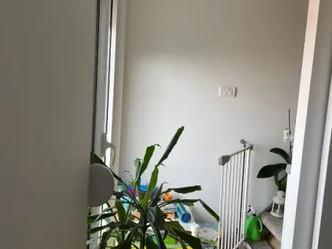 Rent, three bedroom apartment, 60m², Zemun Cara Dušana, Zemun Sve Podlokacije - image 4