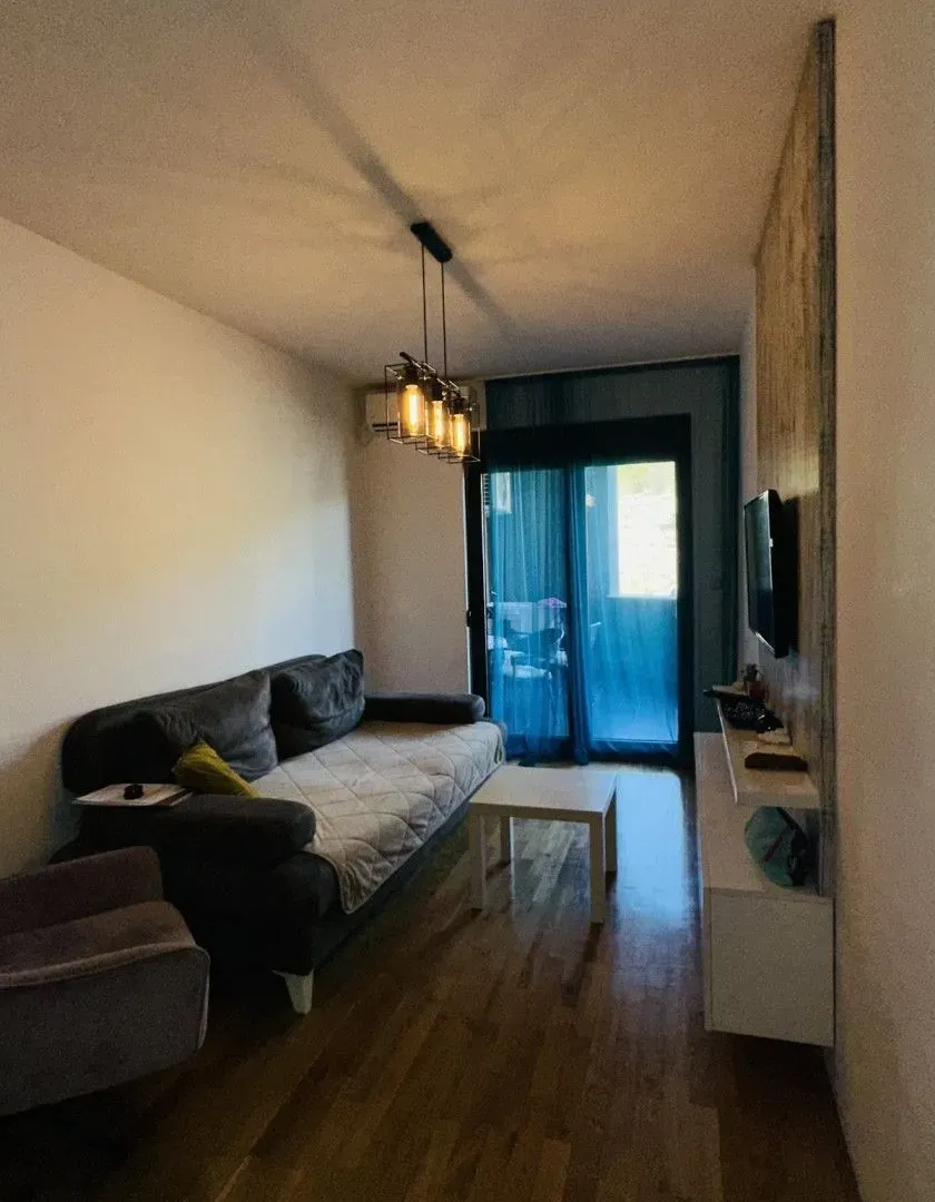 Rent, one bedroom apartment, 49m², Vezirov Most, Podgorica