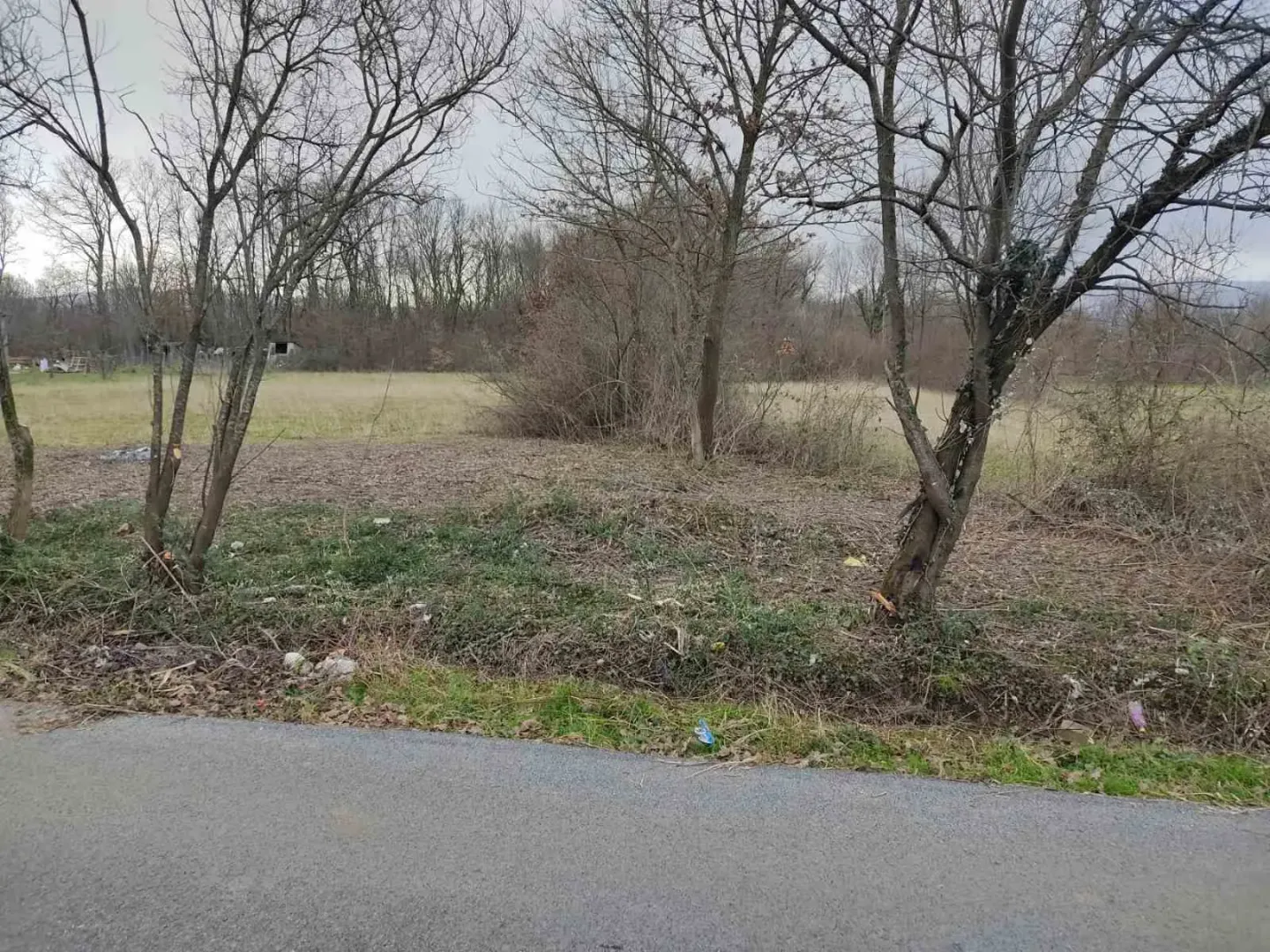 Pogled na plac sa drvećem pored puta.