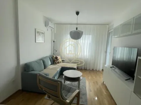 Izdavanje, dvosoban stan, 48m², Avijatičarsko naselje, Novi Sad Sve Podlokacije - image 3