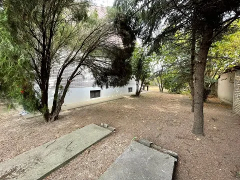 Dvorište kuće sa drvećem i zelenilom. - image 10