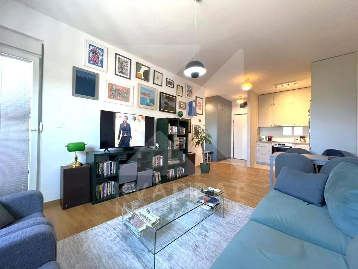 Rent, one bedroom apartment, 46m², Stari Aerodrom, Podgorica