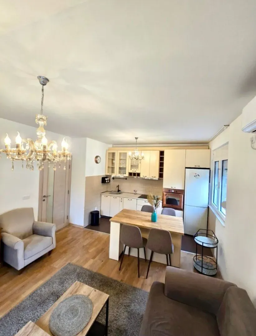 Izdavanje, jednosoban stan, 45m², Preko Morače, Podgorica