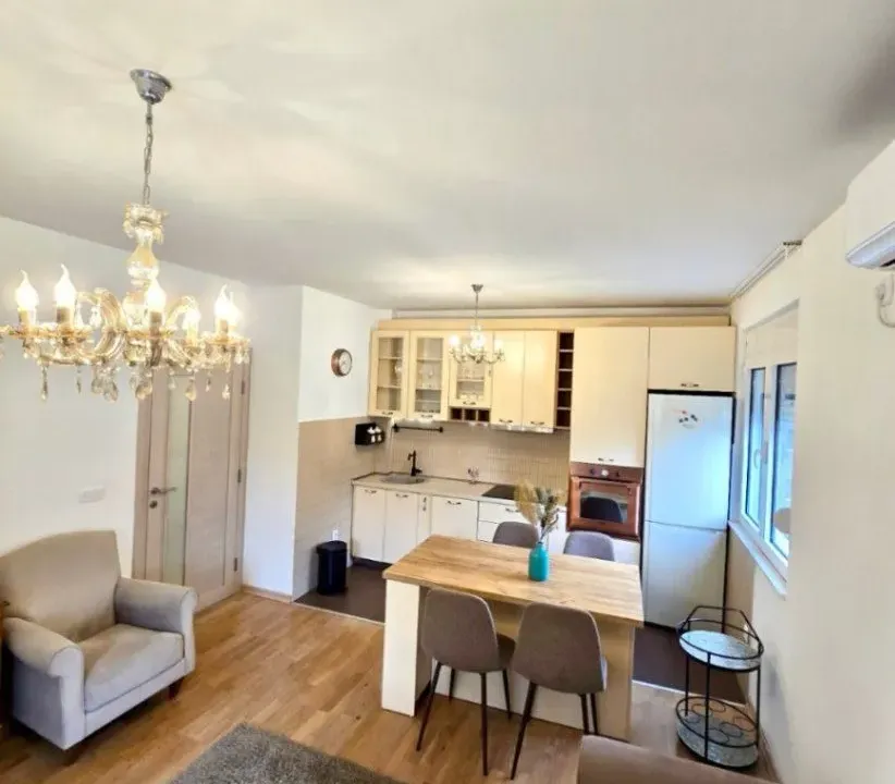 Izdavanje, jednosoban stan, 45m², Preko Morače, Podgorica