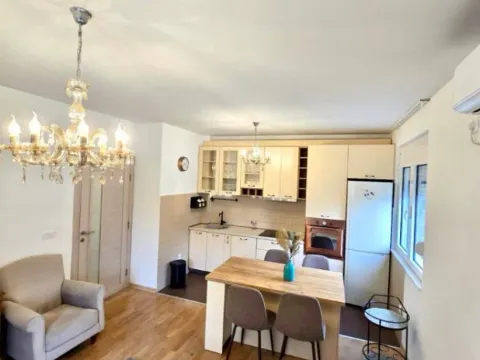 Izdavanje, jednosoban stan, 45m², Preko Morače, Podgorica - image 1