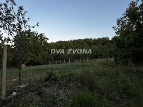 Sale, land lot, 6m², Čortanovci, Inđija