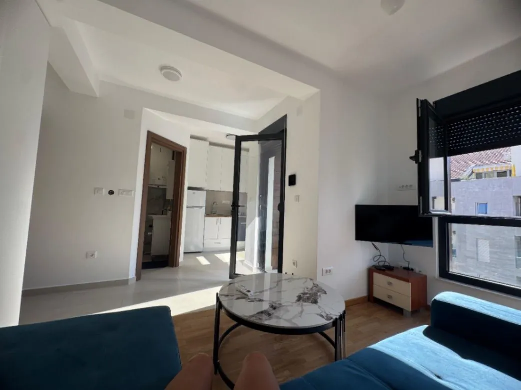 Izdavanje, garsonjera, 23m², Rozino, Budva