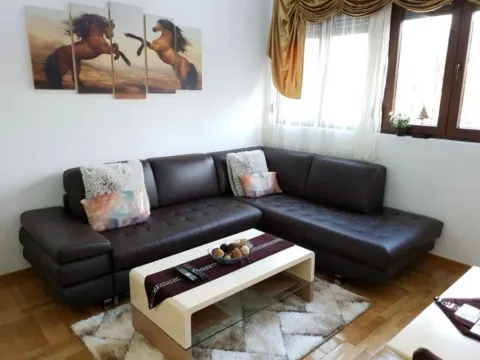 Izdavanje, jednosoban stan, 36m2, Cetinje Izdavanje, jednosoban stan, 36m2, Cetinje