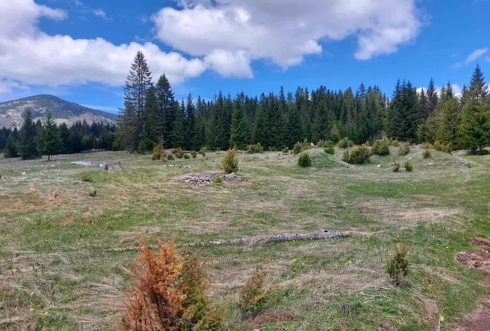 Prodaja, plac, 17505m², Žabljak, Crna Gora