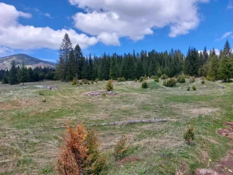 Prodaja, plac, 17505m², Žabljak, Crna Gora - image 3