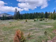 Sale, land lot, 17505m², Žabljak, Crna Gora - image 3