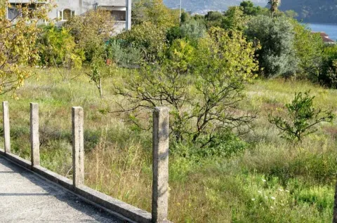 Pogled na zeleno dvorište sa stablima i ogradom. - image 4