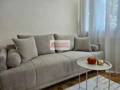 Izdavanje, jednosoban stan, 26m², Voždovačka Crkva, Voždovac Sve Podlokacije - image 5