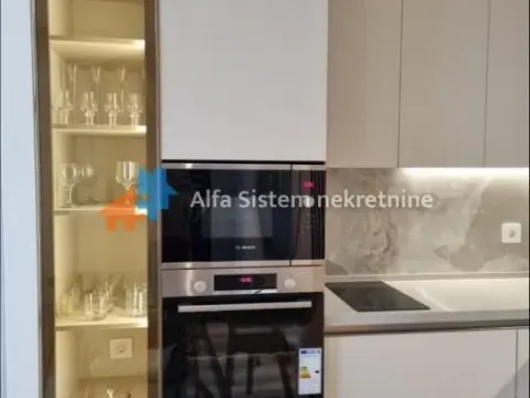 Izdavanje, dvosoban stan, 57m², Savski Venac, Beograd - image 6