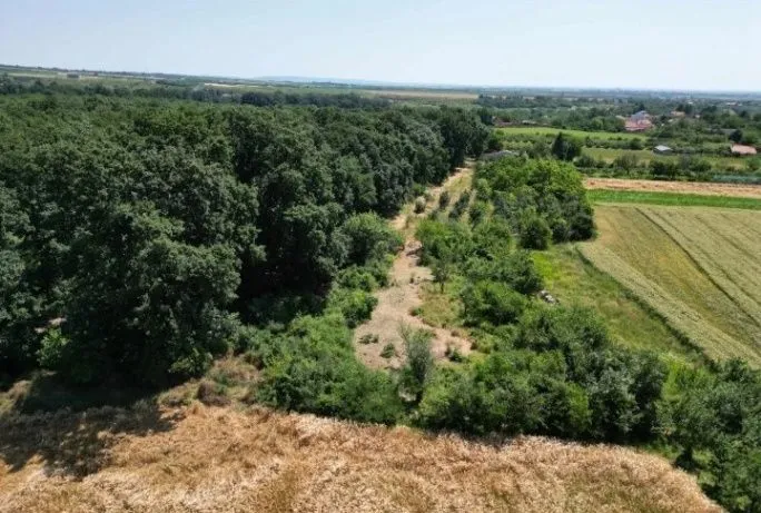 Prodaja, plac, 1576m², Irig, Srbija
