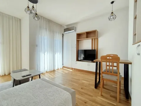 Izdavanje, stan, 33m², Zabjelo, Podgorica - image 5