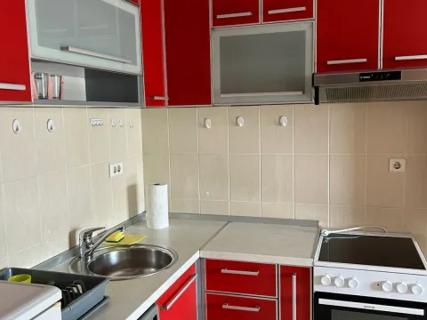 Izdavanje, jednosoban stan, 43m², Preko Morače, Podgorica - image 11